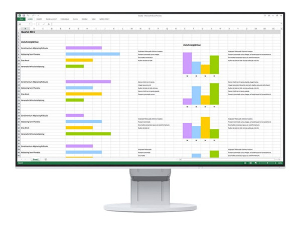 EIZO 23,8 L EV2451-WT weiß, HDMI, DisplayPort, DVI,