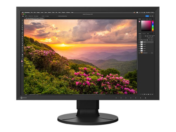 Eizo CS2400S ColorEdge (61.1 cm(24.1 Zoll), schwarz, HDMI,