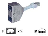 Netzwerkinstallation BTR Cable-sharing Adapter pnp 1