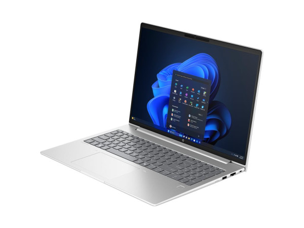 HP ProBook 460 G11 (9C0C5EA) (silber, Windows 11 Pro