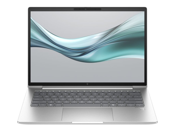 HP EliteBook 645 G11 (9C0H2EA) (silber, Windows 11 Pro,