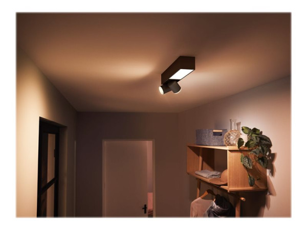 Philips Hue Phil Hue WCA Centris 2er Spot bk