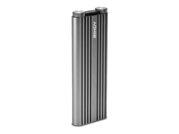 Lindy Lin NVMe M.2 externes Gehäuse USB 3.2 | 43318