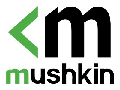 Mushkin D464GB 2666-19 Essentials K2 MSK