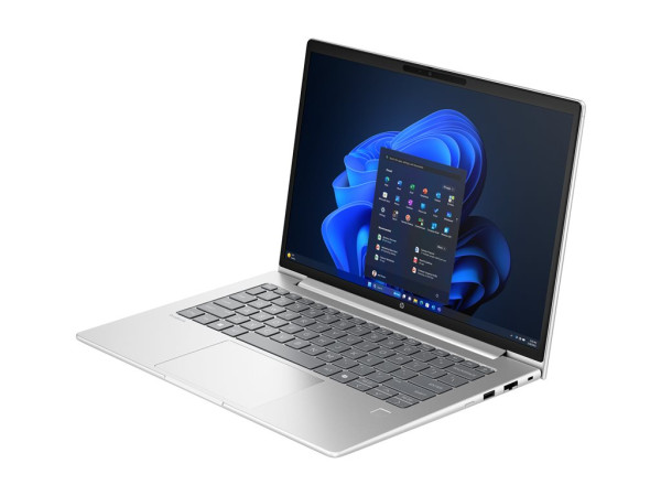 HP ProBook 4 G1a (AD2M7ET) (silber, AMD Ryzen 5 230, AMD