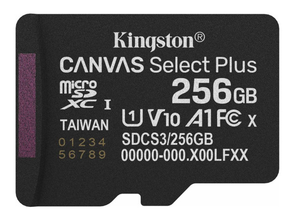 Kingston Canvas Select Plus 256 GB MicroSDXC (schwarz,