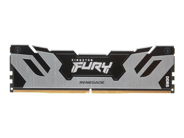 Kingston DIMM 24 GB DDR5-6400 (silber/schwarz,