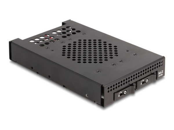 DeLOCK 3.5? Wechselrahmen für 2 x M.2 NVMe SSD