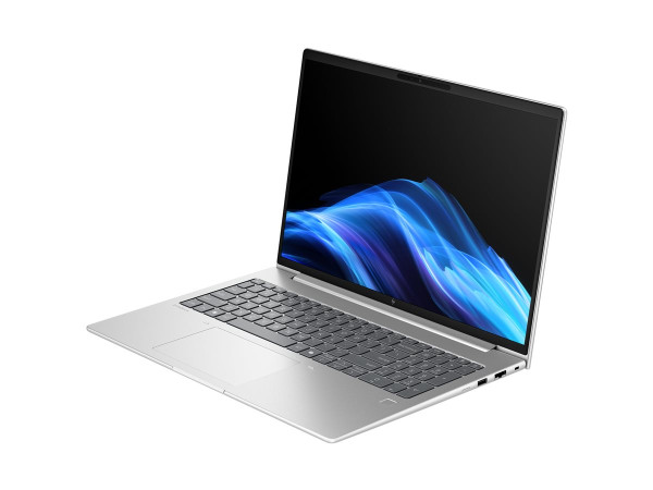 HP EliteBook 6 G1a (AD3K3ET) (silber, AMD Ryzen 7 250, AMD