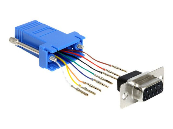 IT Produkte DeLOCK Adapter Sub-D 9 Pin Buchse > RJ45 Buchse