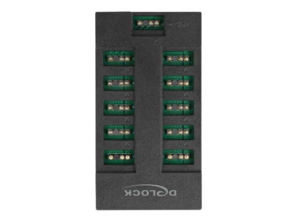 DeLOCK RGB Hub für ARGB LEDs mit 10 Ports