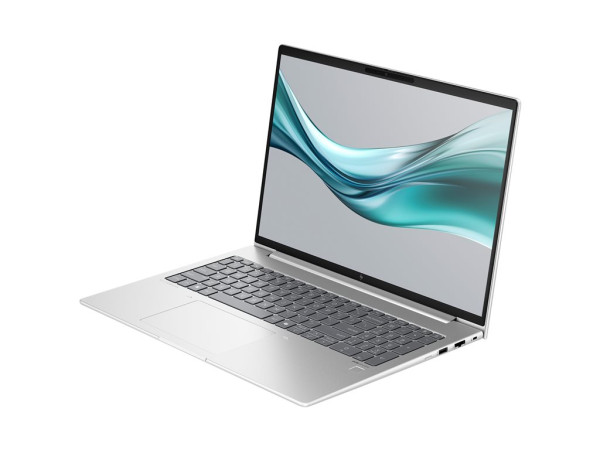 HP EliteBook 665 G11 (9C0H5EA) (silber, Windows 11 Pro