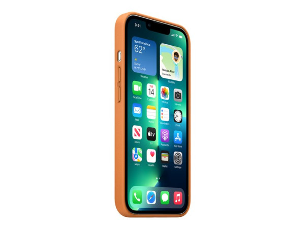 Apple Leder Case iPhone 13 Pro bn | mit