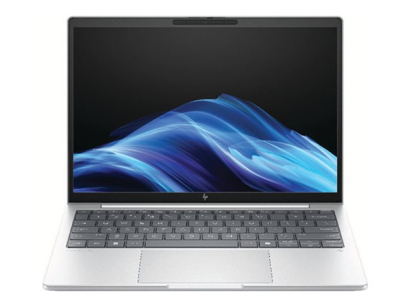 HP EliteBook 8 G1a (AD3E3ET) (silber, AMD Ryzen 5 230, AMD