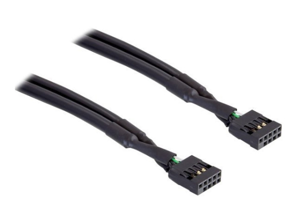 IT Produkte DeLOCK Kabel USB Pinheader Bu-Bu 10pin 50cm