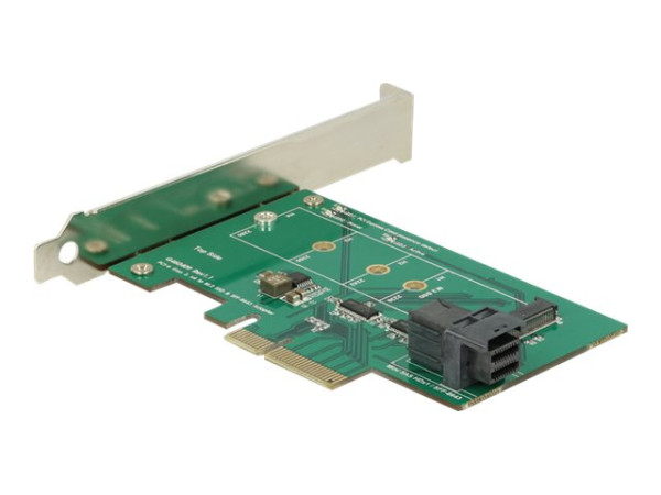 DeLOCK PCI x4>1x SFF-8643 + 1x M.2 Key M