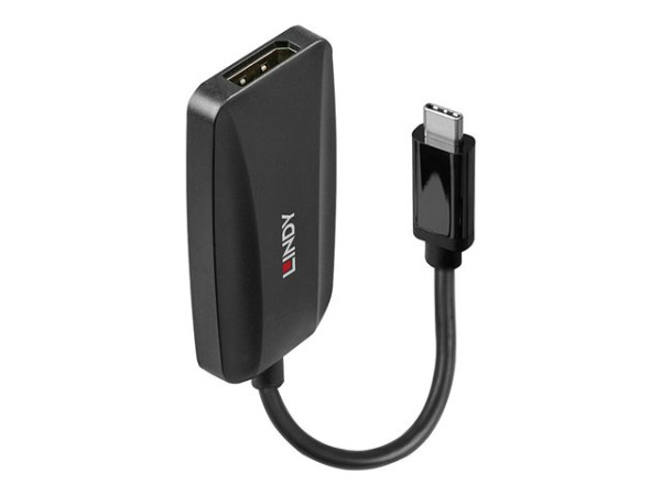 Lindy Lin USB Typ C DisplayPort 1.4 Konverter 43337