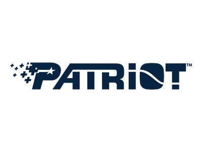 Patriot SSD 1TB 430/520 P210 SA3 PAT schwarz,