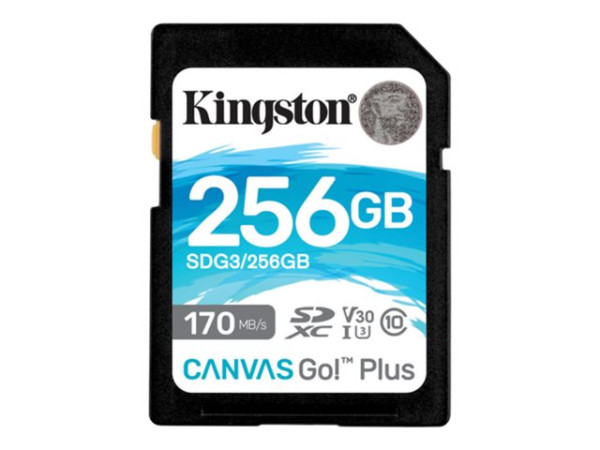 Kingston SD 256GB Canvas Go! Plus UHS-I U3 KIN schwarz,