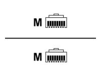 Sharkoon Patchkabel RJ45 Cat.5e SFTP 10m rot