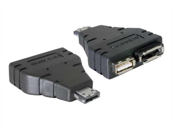 IT Produkte DeLOCK Adapter eSATA+USB zu 1x eSATA und 1x USB