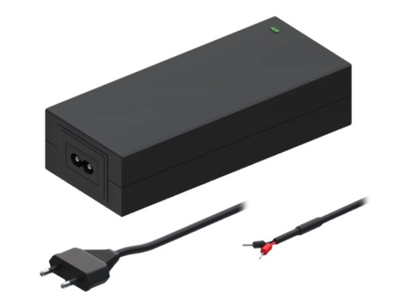 Teltonika 2-PIN EU Netzteil 62W für TSW200