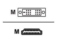 Sharkoon HDMI -> DVI-D (18+1) 1,0m, Kabel schwarz