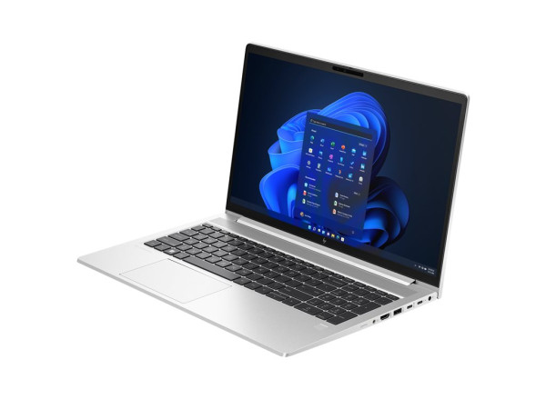 HP EliteBook 650 G10 (817N0EA) (silber, Windows 11 Pro