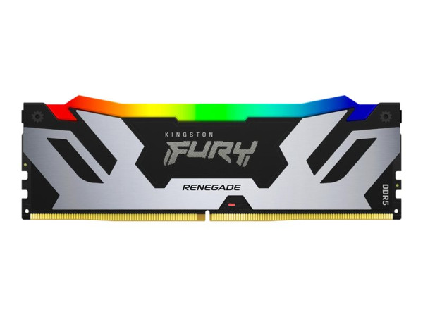Kingston DIMM 24 GB DDR5-8000 (silber/schwarz,