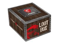 MSI Loot Box Level 2