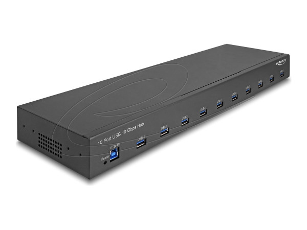 DeLOCK 19? Industrie Hub 10 x USB 10 Gbps Typ-A