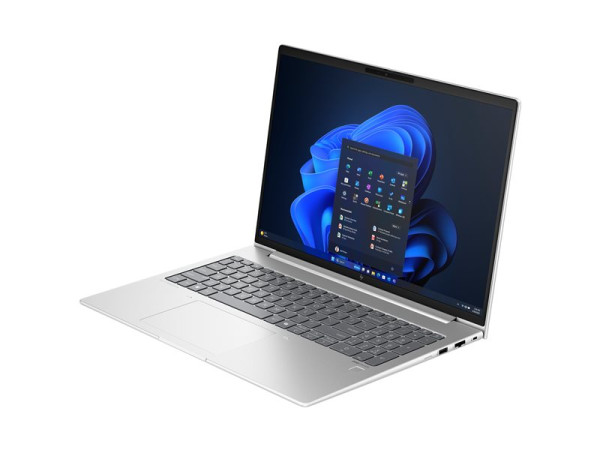 HP EliteBook 665 G11 (9Y7K2ET) (silber, Windows 11 Pro