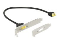 DeLOCK Slotbech SATA->SATA 8P Bu/St 30cm