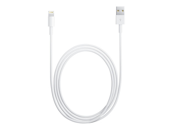 Apple Lightning to USB Cable 1m