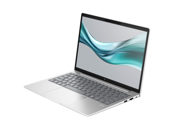 HP EliteBook 630 G11 (9C0G6EA) (silber, Windows 11 Pro