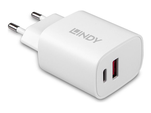 Lindy 160W 6 Port USB-Ladestation, 3x USB-A + 3x USB-C