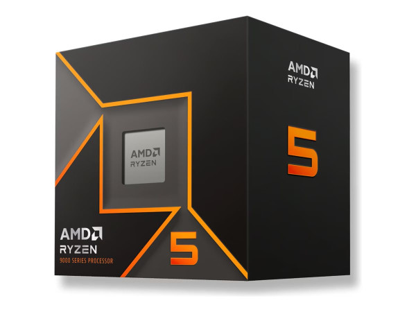 AMD Ryzen 5 9600 (Boxed-Version)