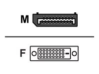 Fujitsu FTS Port/DVI Adapter Cable | S26361-F2391-L200