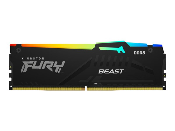 Kingston D5 16GB 4800-38 Beast Black RGB KFY schwarz,