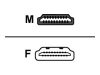 LogiLink HDMI Adapter, AM to AF, 180 degree