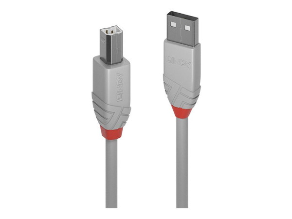 Lindy Lin USB 2.0 Typ A -> B AntL 2m gy 36683 grau,