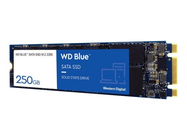 250 GB Western Digital SSD 525/550 Blue PC SSD M.2 WES