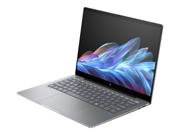 HP OmniBook X 14-fe0060ng (A3NX8EA) (silber, Windows 11