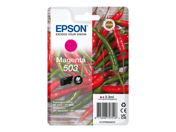 Epson Tinte MG C13T09Q34010