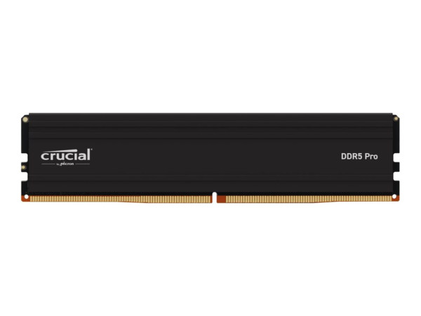 Crucial DIMM 24 GB DDR5-6000 (schwarz, CP24G60C48U5, PRO,