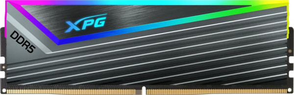 ADATA DIMM 16 GB DDR5-6000 (1x 16 GB) (grau,