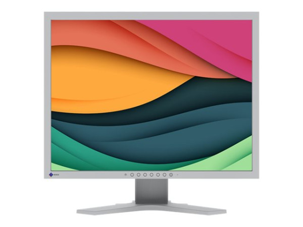 Eizo FlexScan S2134 (54 cm(21.3 Zoll), grau, DisplayPort,
