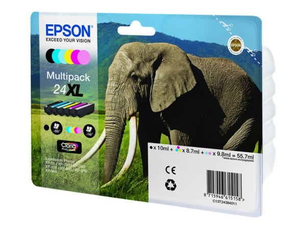 Epson C13T24384011