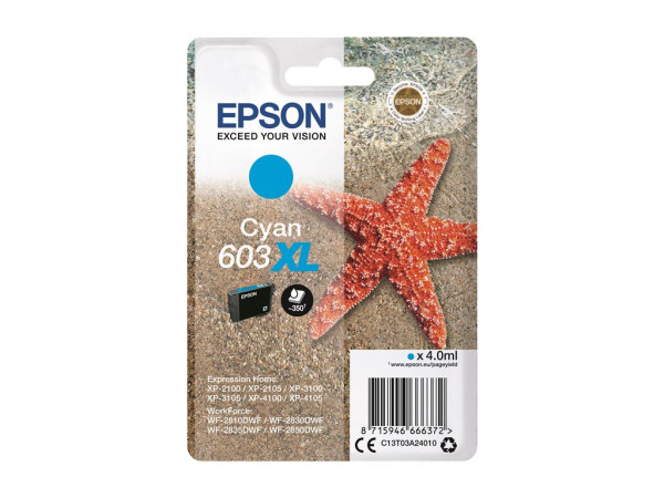 Epson Tinte CY 603XL C13T03A24010 | Seestern