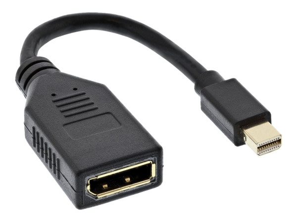 InLine Kabel Mini DisplayPort Stecker zu DisplayPort Buchse